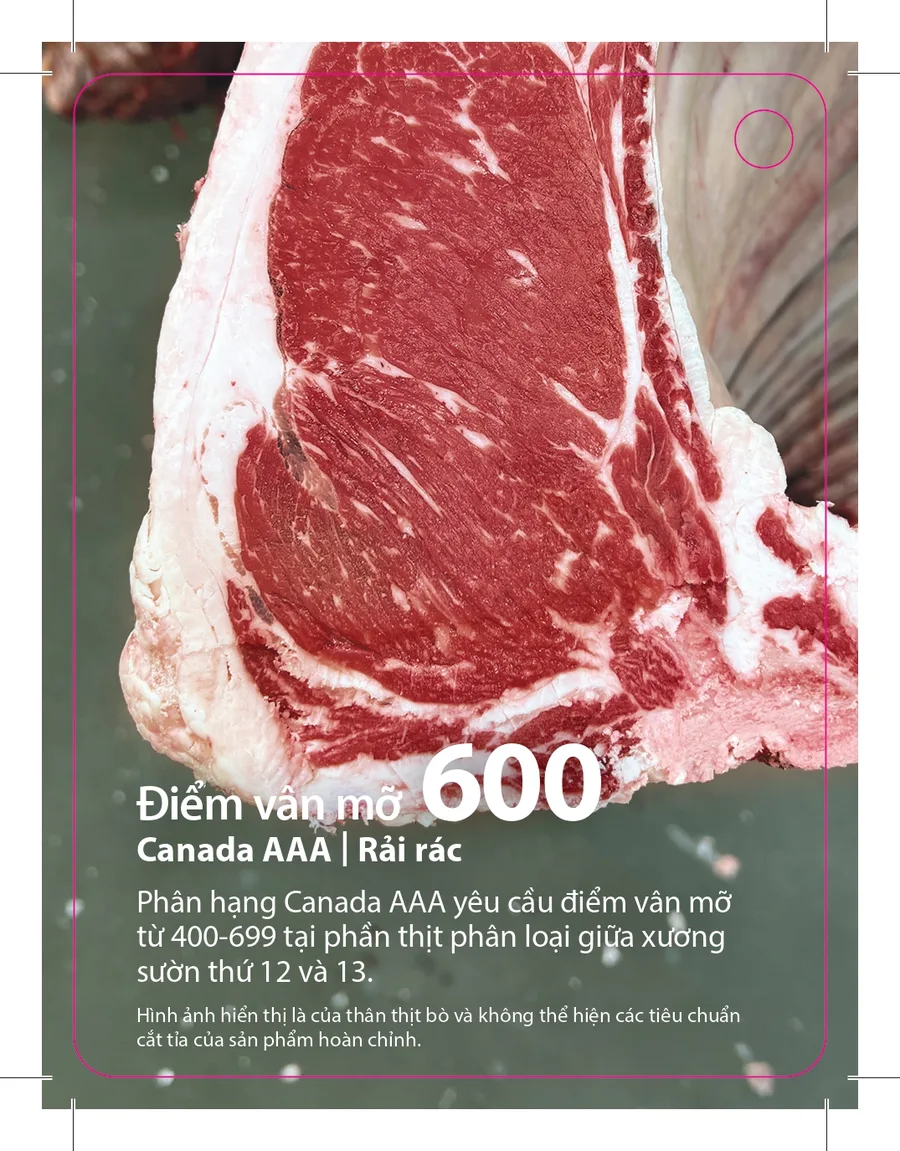 Vân mỡ BMS 600