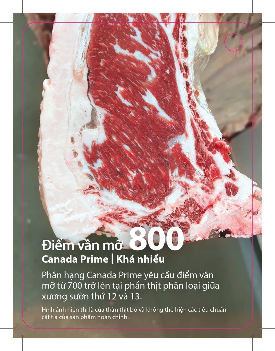 Vân mỡ BMS 800