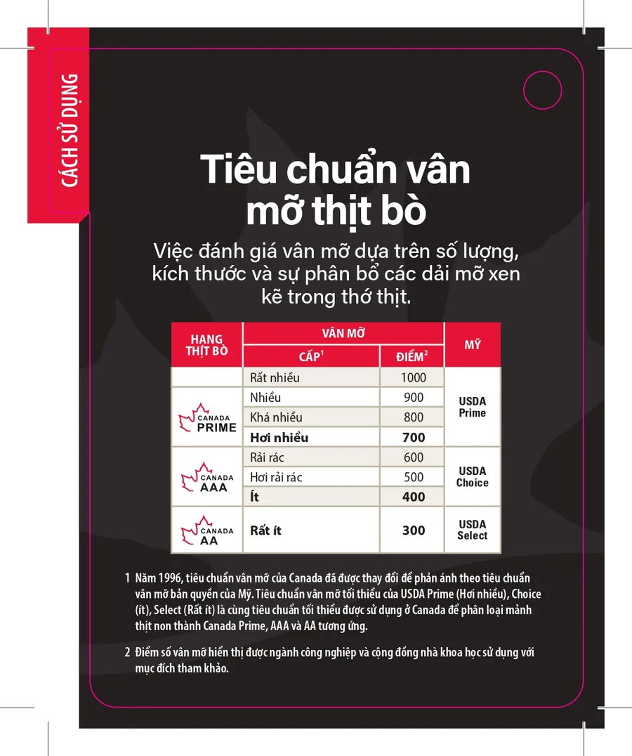 Tổng quan vân mỡ BMS
